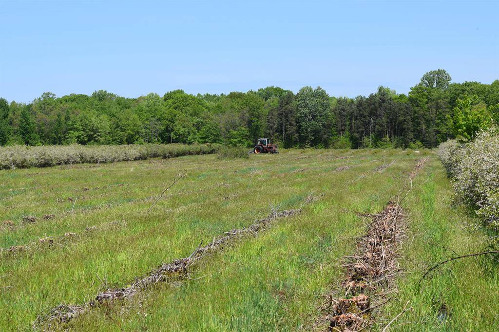 Covert Twp, MI 49043,00000 CR 376 Avenue