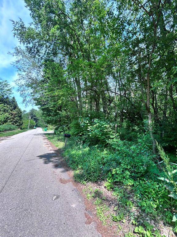 Ontwa Twp, MI 49112,0 Sandy Beach Drive
