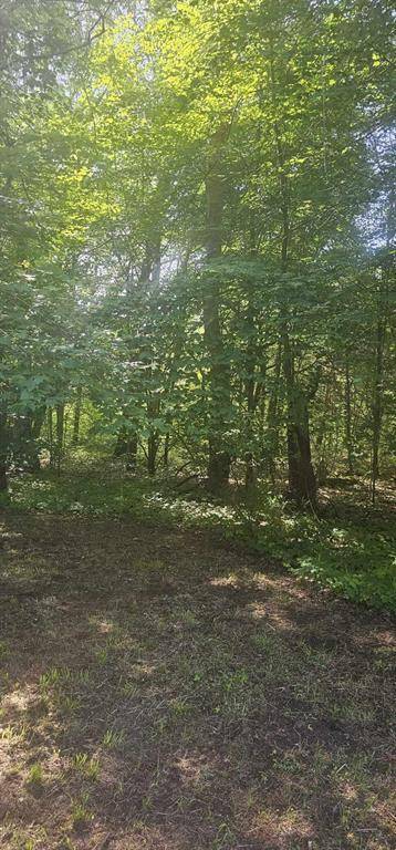 Columbia Twp, MI 49056,7001 51 1/2 Street