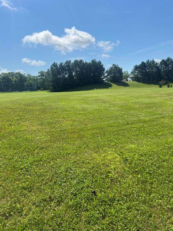 Royalton Twp, MI 49085,V/L Dickinson Court