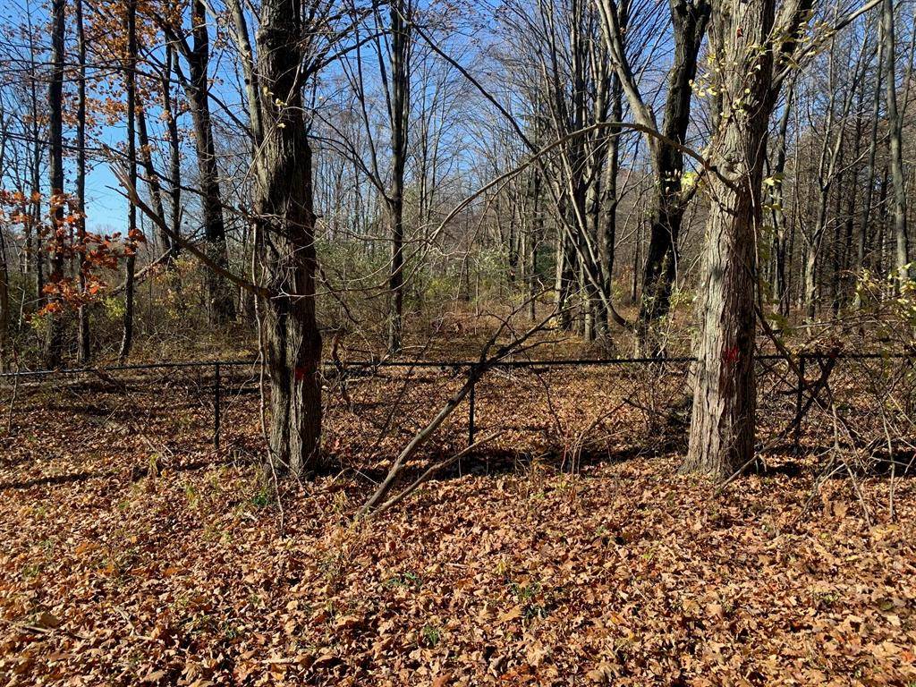 Chikaming Twp, MI 49115,000 Prairie Road 1.5 A