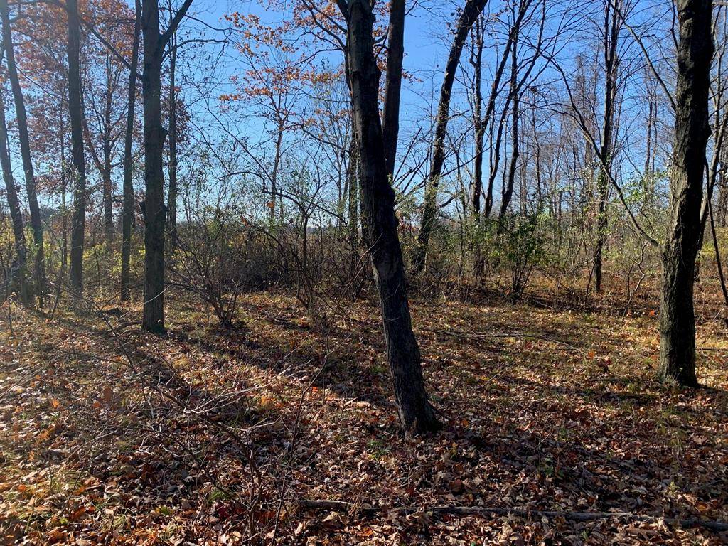 Chikaming Twp, MI 49115,000 Prairie Road 1.5 A