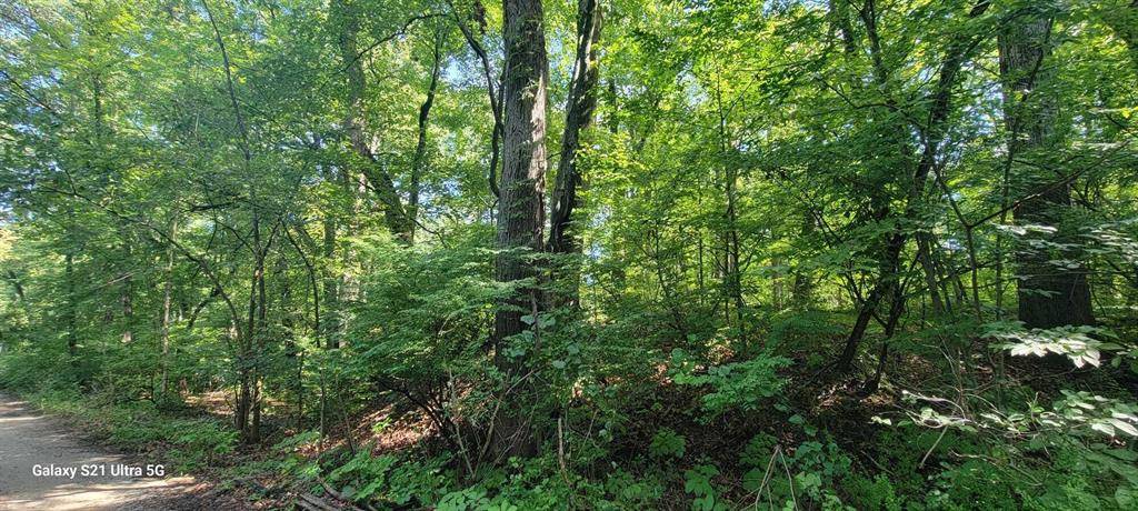 New Buffalo Twp, MI 49117,19343 Ravine Drive