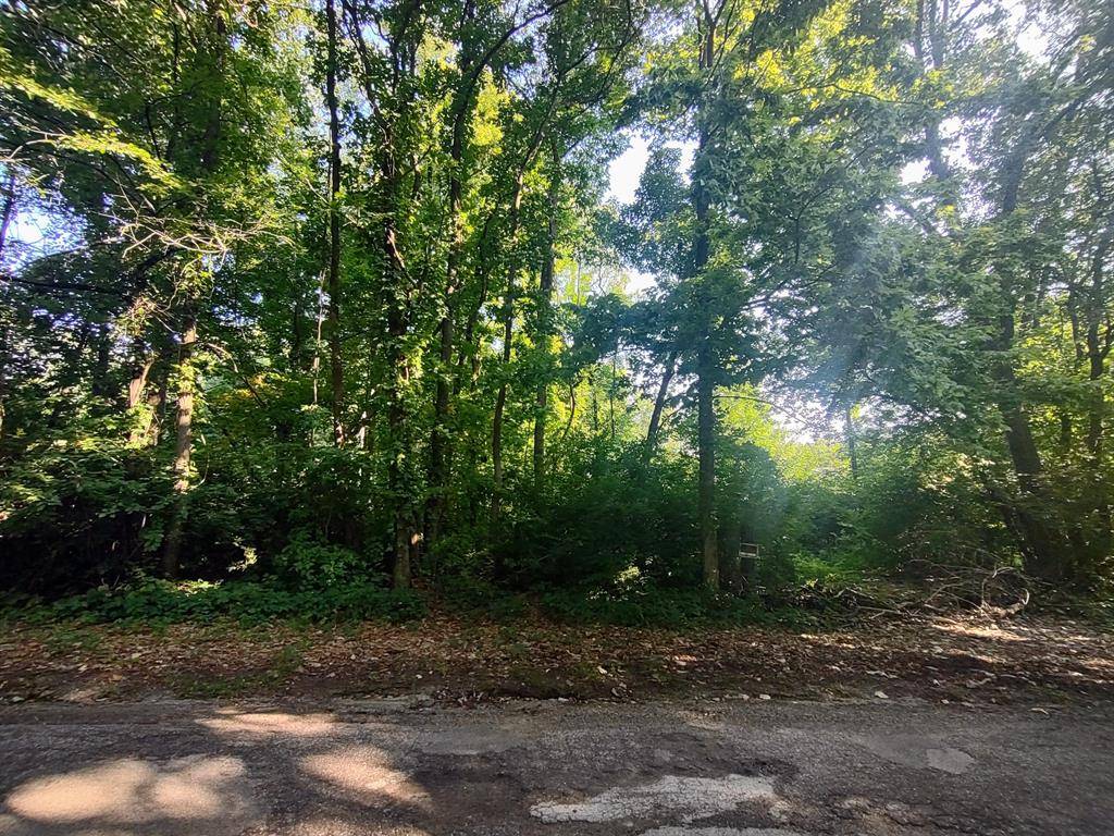 Buchanan Twp, MI 49107,0 Chamberlain Road