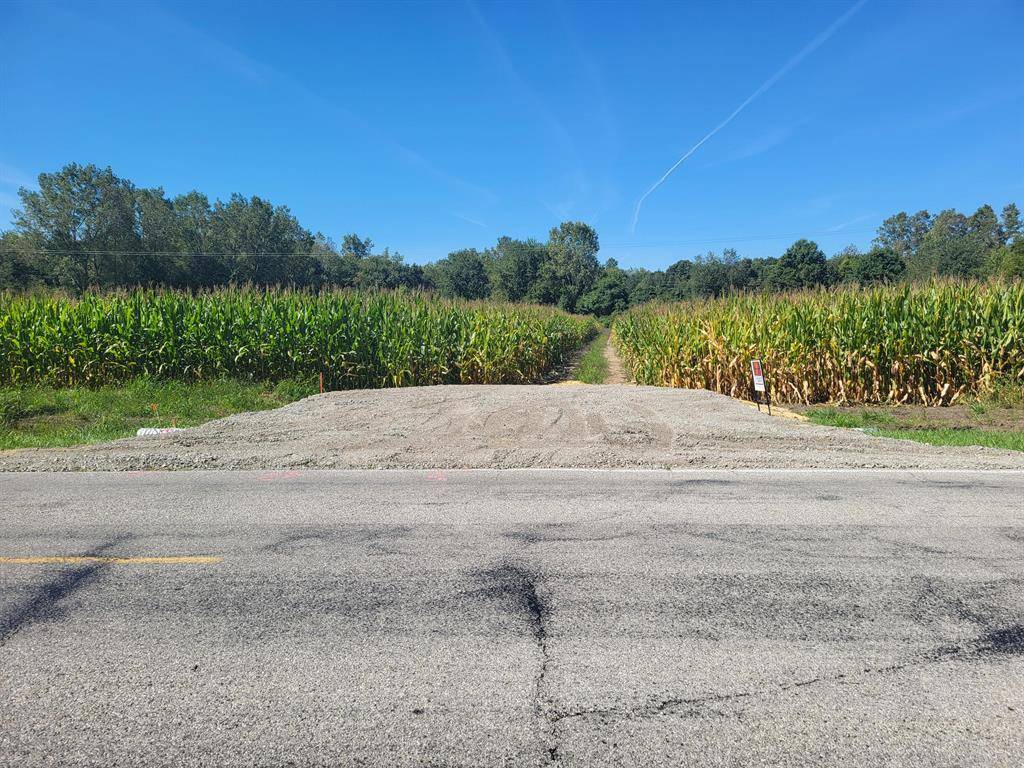 Summerfield Twp, MI 49270,2600 B Wells Road Modifier: Parcel B