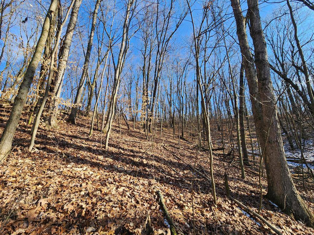 Orangeville Twp, MI 49080,VL Marsh Road