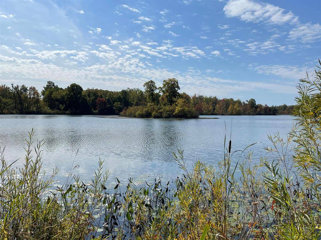 Columbia Twp, MI 49056,VL CR 380