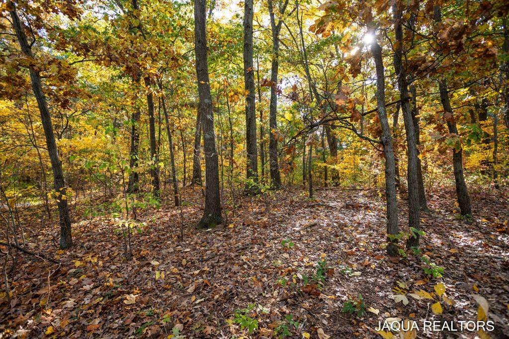 Saugatuck Twp, MI 49453,3126 Red Oak Drive Lot 7
