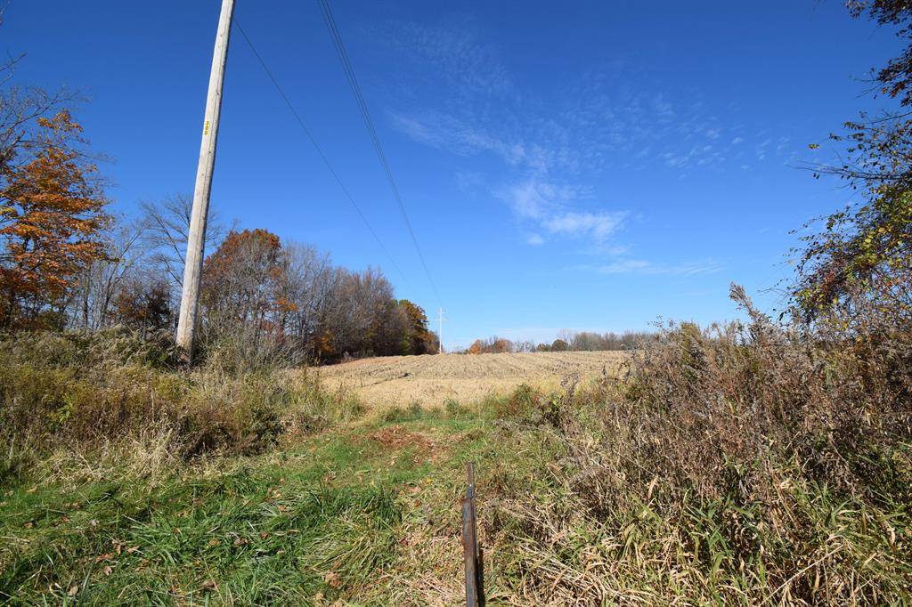 Arlington Twp, MI 49013,00001 38th Avenue