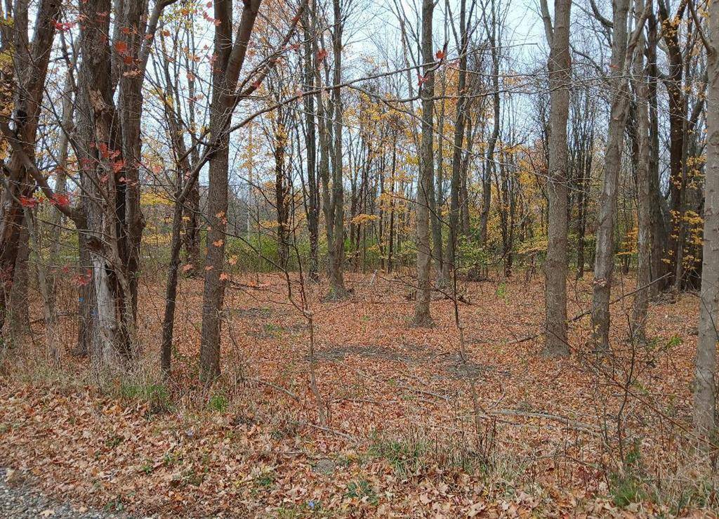 Casco Twp, MI 49090,E Beach Drive