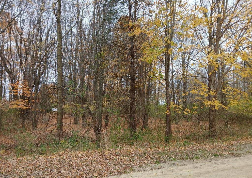 Casco Twp, MI 49090,00 E Beach Drive