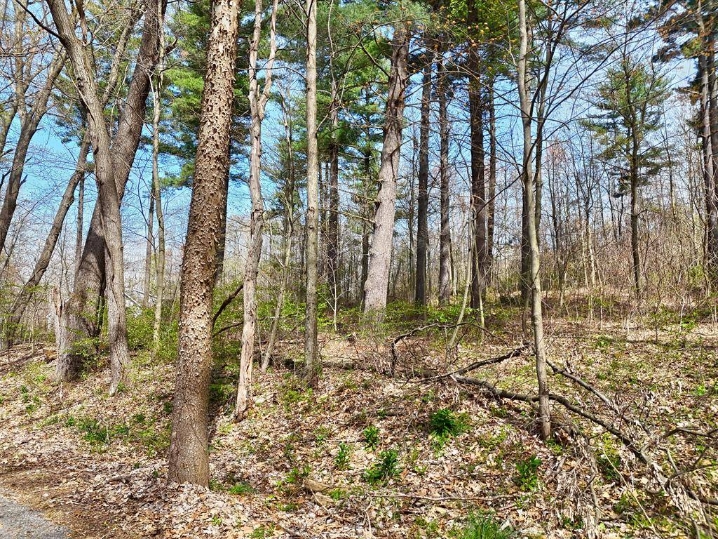 Silver Creek Twp, MI 49047,VL Misty Pines Modifier: Unit 12