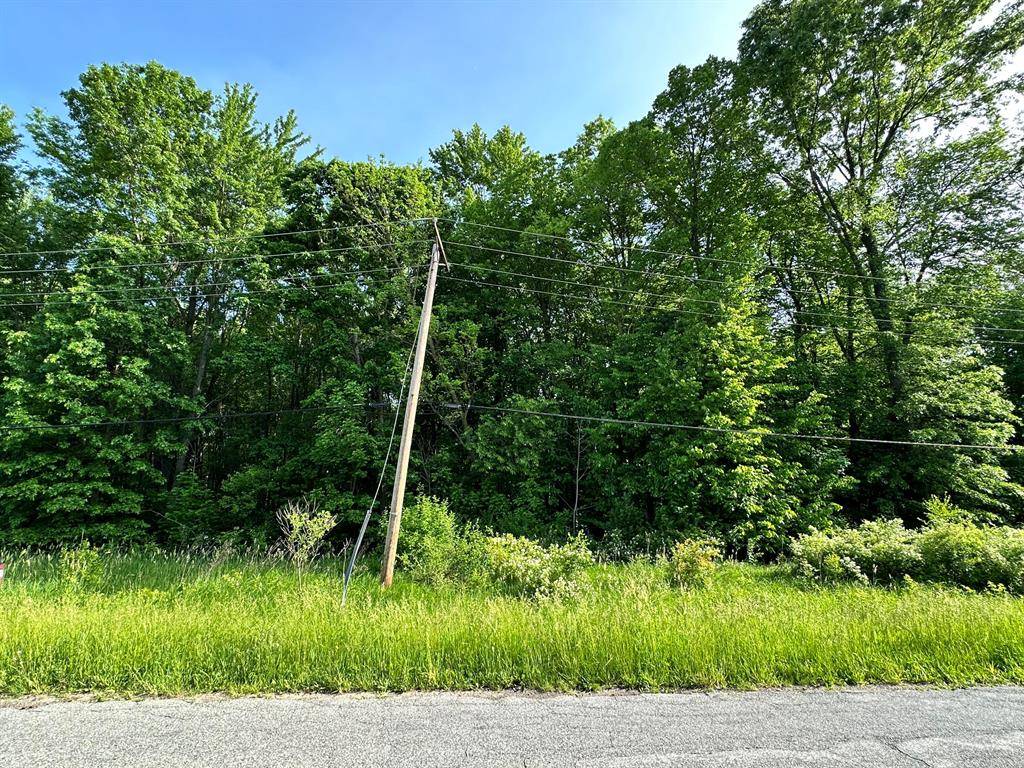 Benton Twp, MI 49022,0 V/L E Empire Avenue