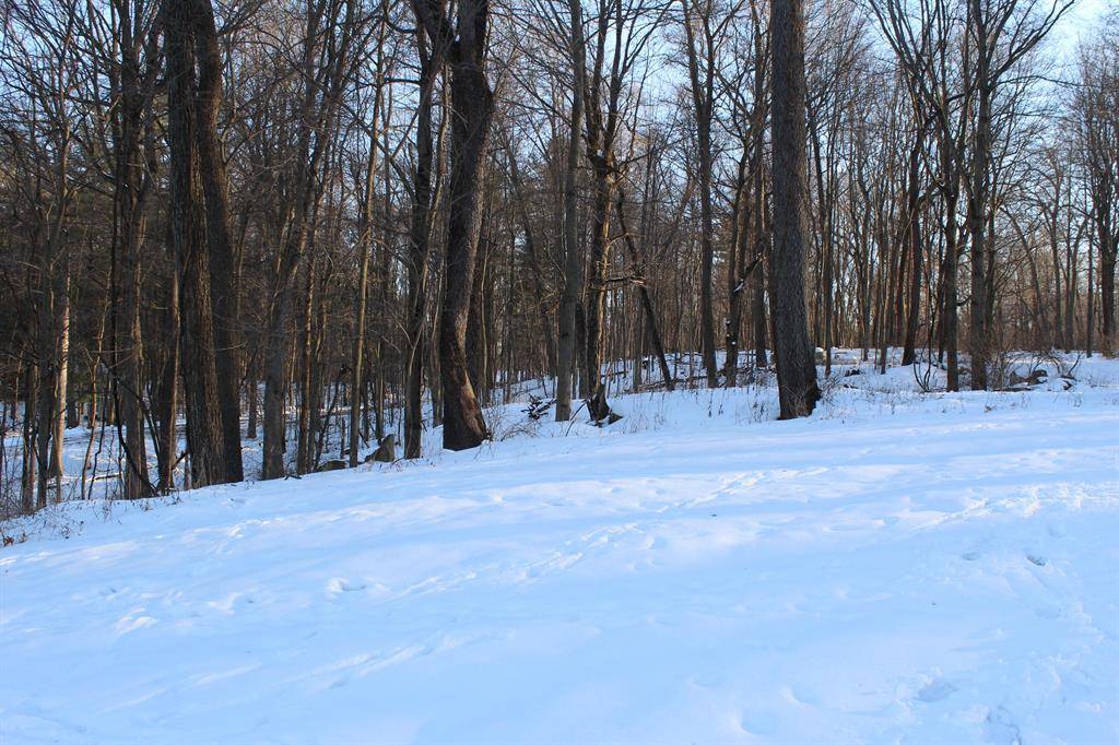 Jefferson Twp, MI 49112,66741 Conrad Road