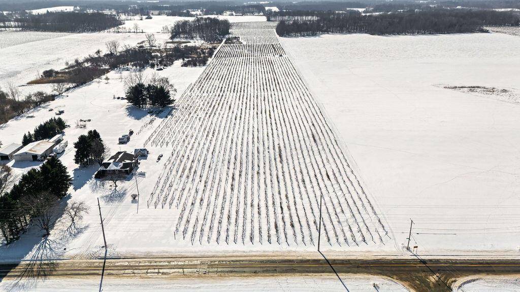 Oronoko Twp, MI 49103,V/L E Lemon Creek Road