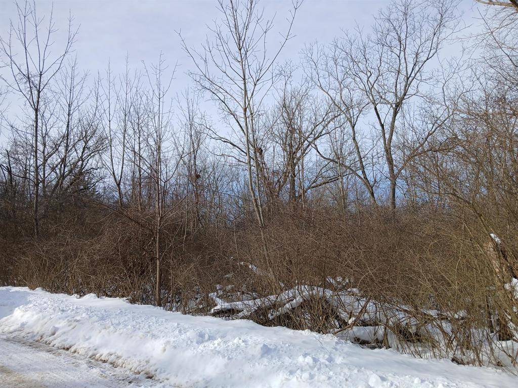 Casco Twp, MI 49090,00 Miami Avenue