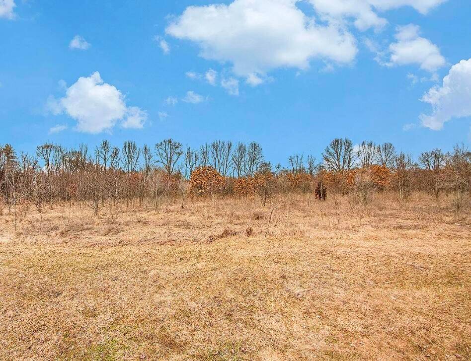 Milton Twp, MI 49120,Lot 1 Stratford Court