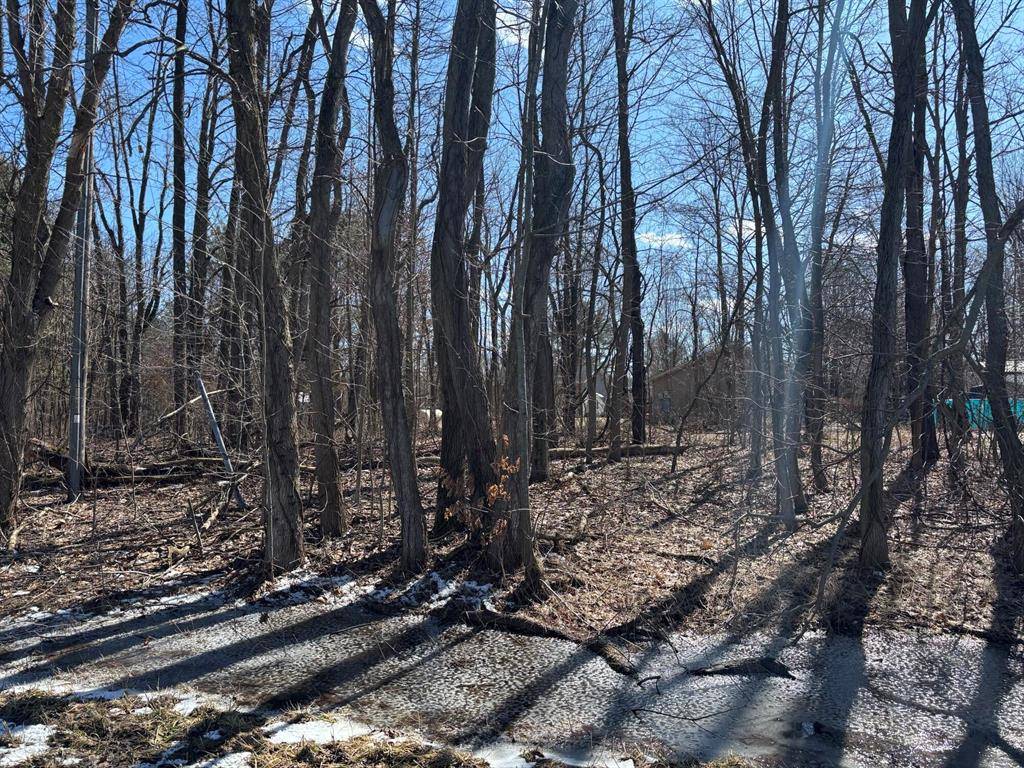 Arlington Twp, MI 49056,24th Avenue