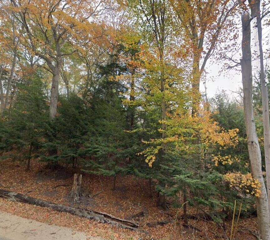 Manistee Twp, MI 49660,0 LakeShore Road