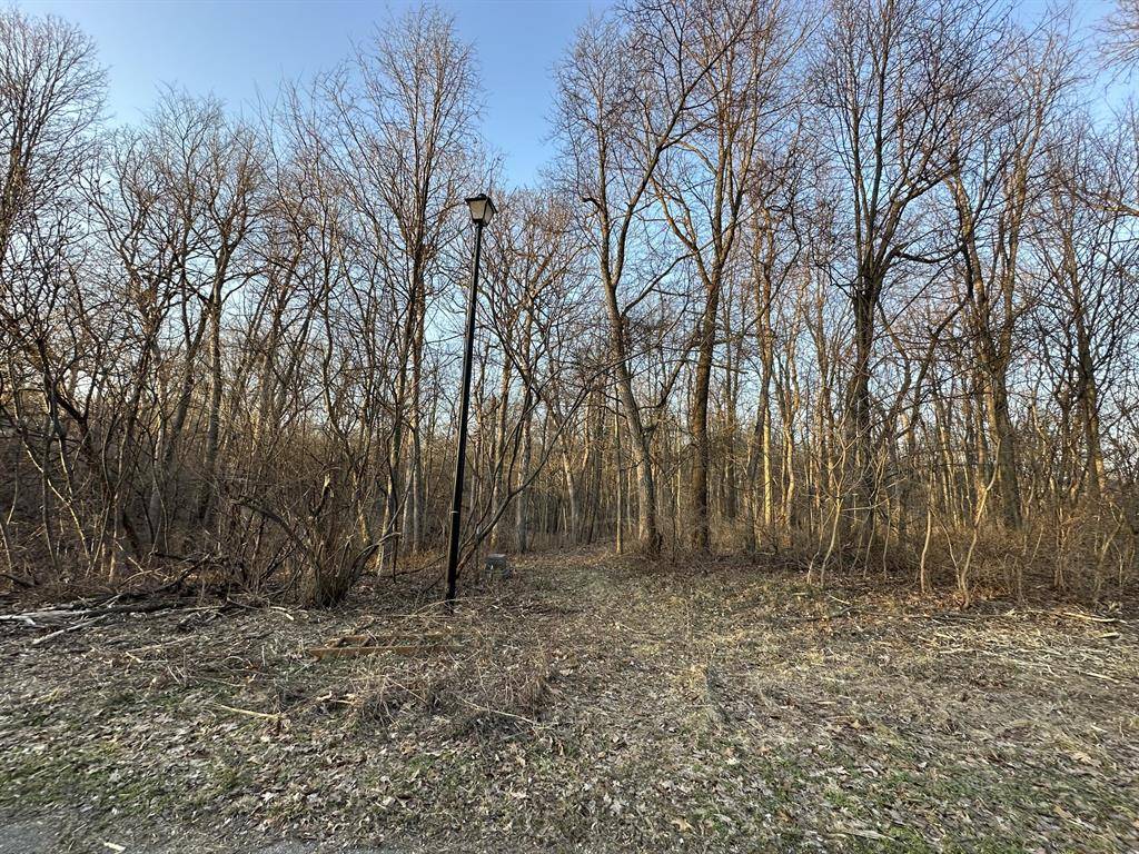 Jefferson Twp, MI 49112,62,63 Maple Wood Drive