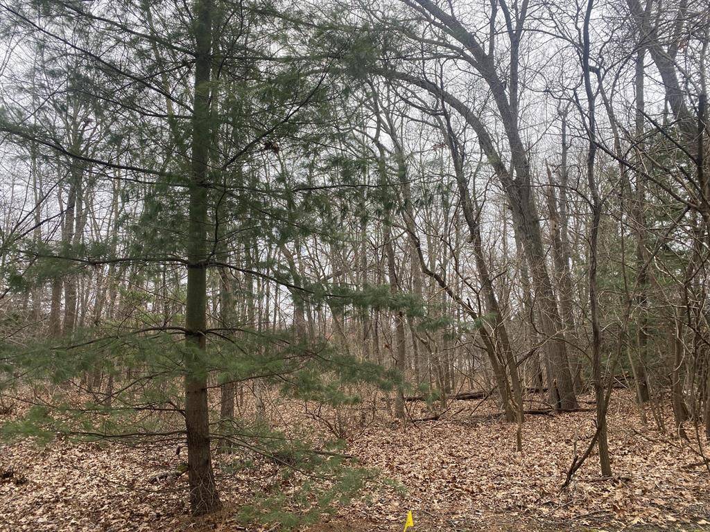 New Buffalo Twp, MI 49117,18657 Forest Beach Drive