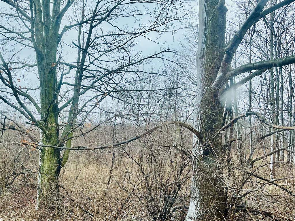 Galien Twp, MI 49113,0 Pardee Rd