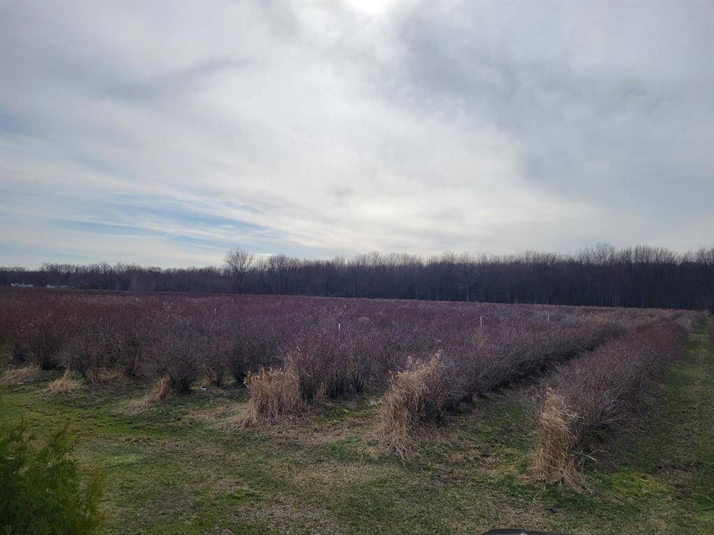 Covert Twp, MI 49043,72nd Street Street