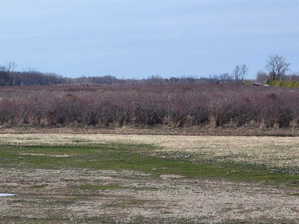 Covert Twp, MI 49043,72nd Street Street