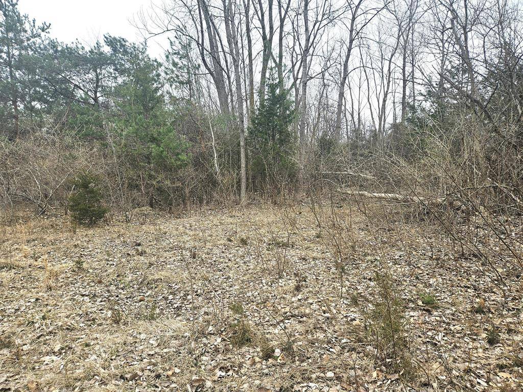 South Haven Twp, MI 49090,14th Avenue