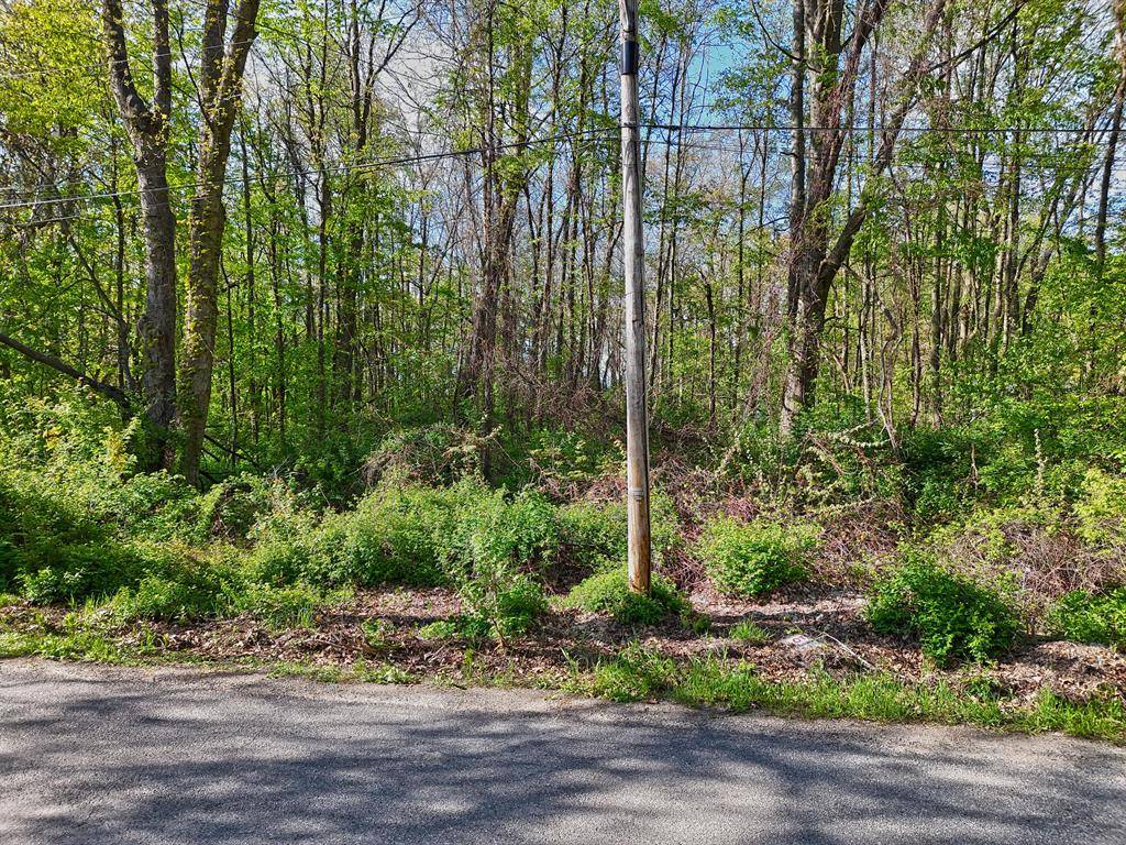 Keeler Twp, MI 49047,VL Ellen Road