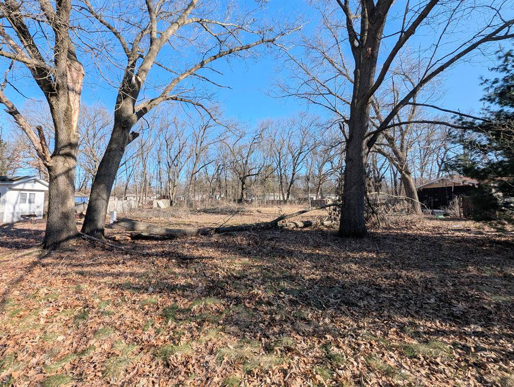 Antwerp Twp, MI 49065,29698 Jewells Drive