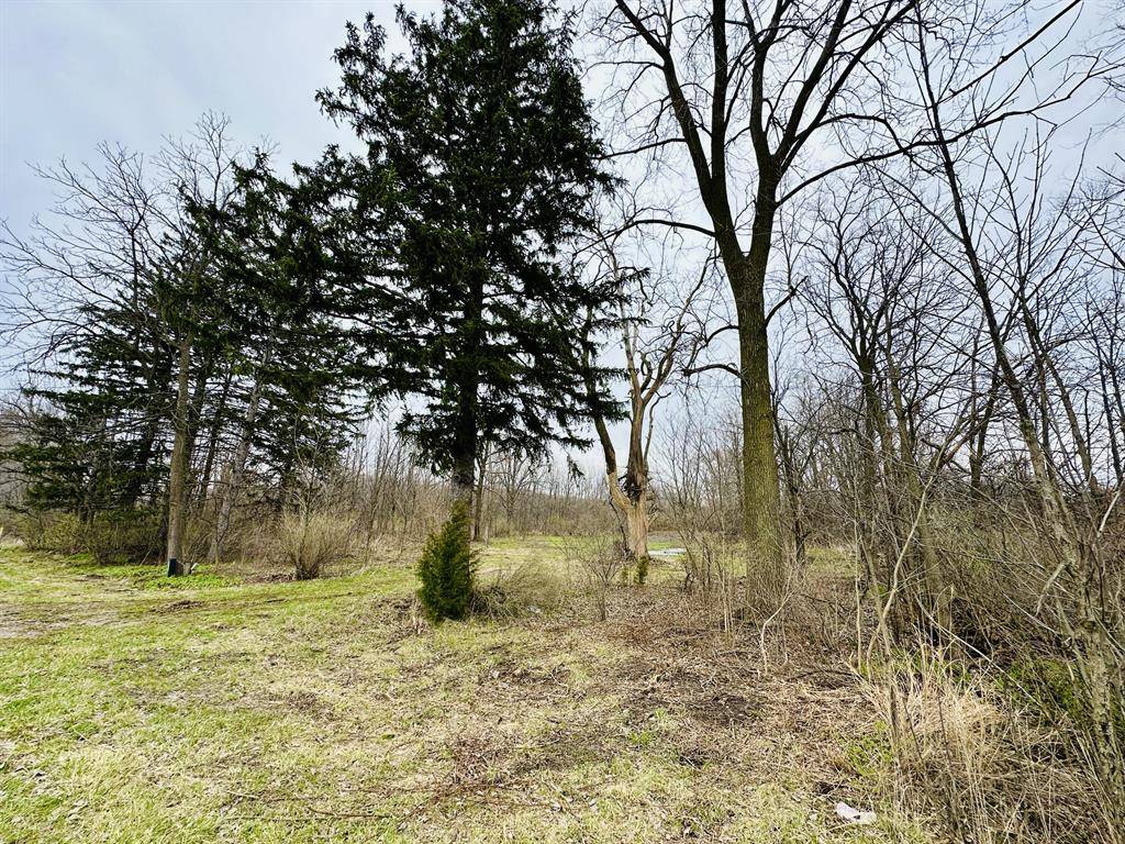 Baroda Twp, MI 49101,9605 Holden Road