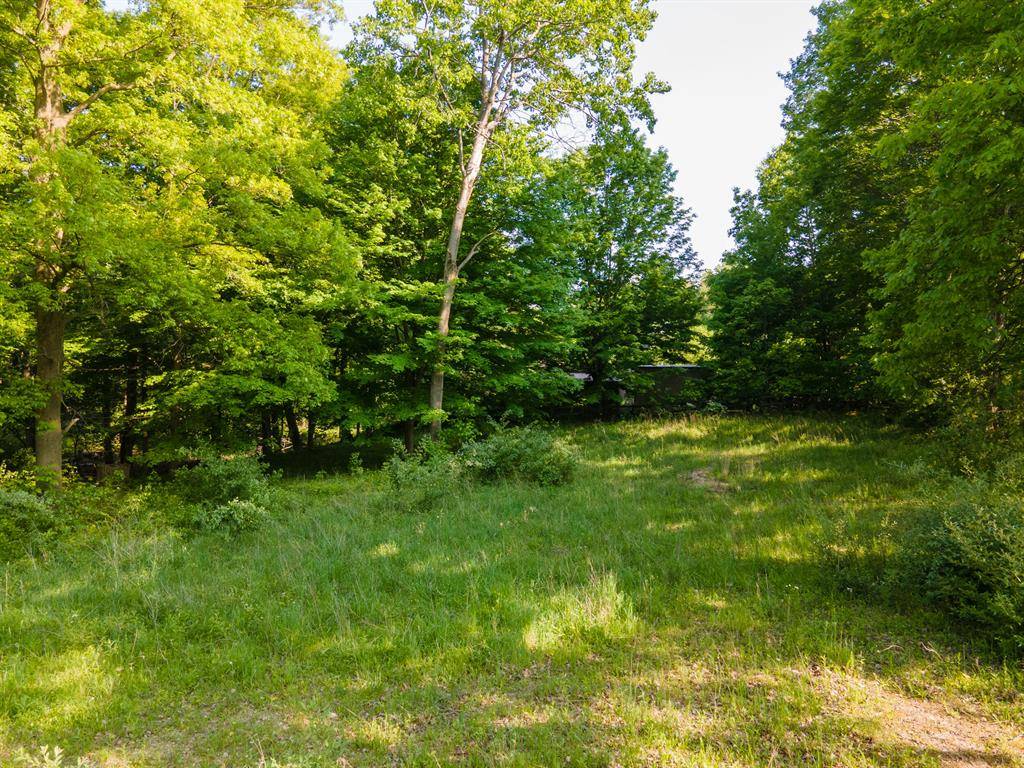 Buchanan Twp, MI 49107,16199 W Clear Lake Road