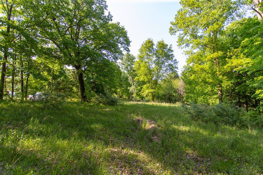 Buchanan Twp, MI 49107,16199 W Clear Lake Road