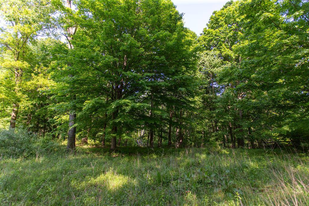 Buchanan Twp, MI 49107,16199 W Clear Lake Road
