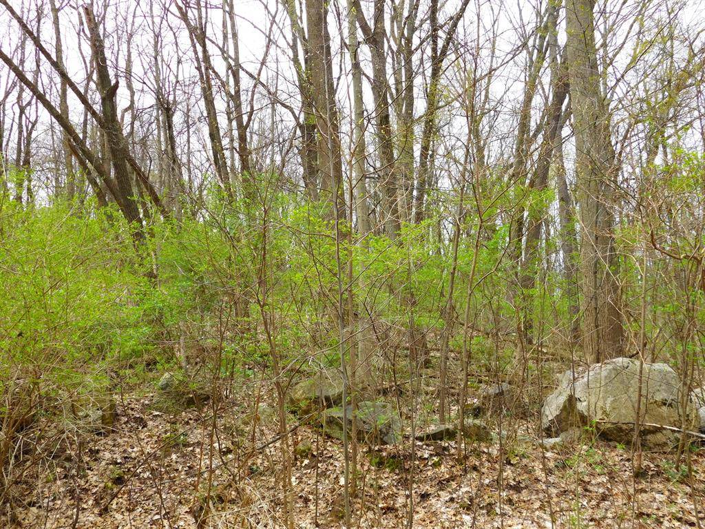Niles Twp, MI 49120,V/L Greyhawke Ridge Lot 5