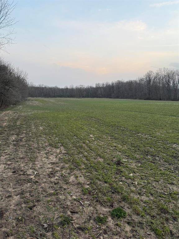 Waverly Twp, MI 49079,41177 38th Avenue