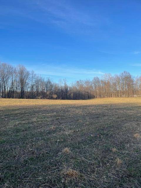 Calvin Twp, MI 49031,V/L MT ZION ST Street