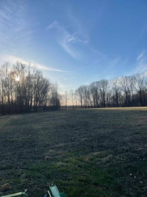 Calvin Twp, MI 49031,V/L MT ZION ST Street