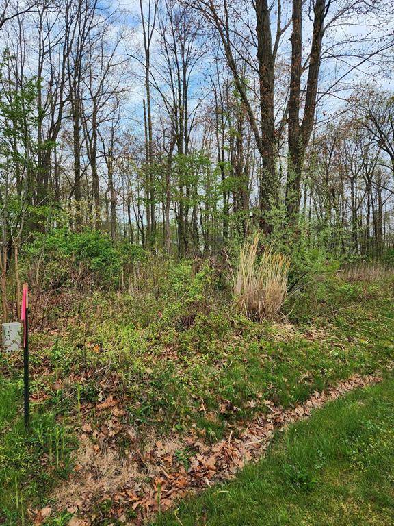 New Buffalo Twp, MI 49117,11132 Strawberry Avenue 46