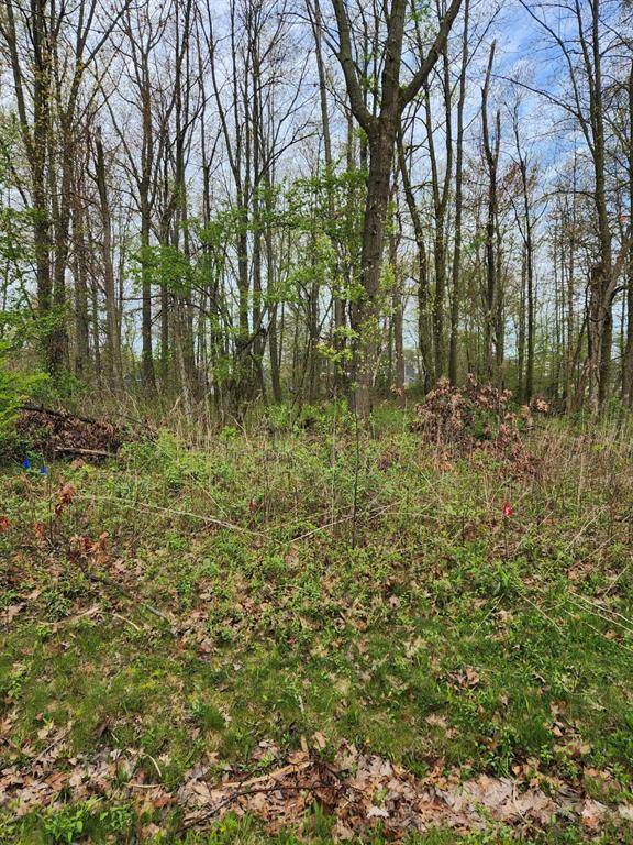 New Buffalo Twp, MI 49117,11132 Strawberry Avenue 46