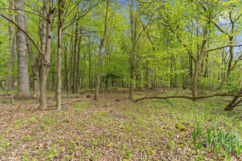 Ontwa Twp, MI 49112,22981 N Shore Drive
