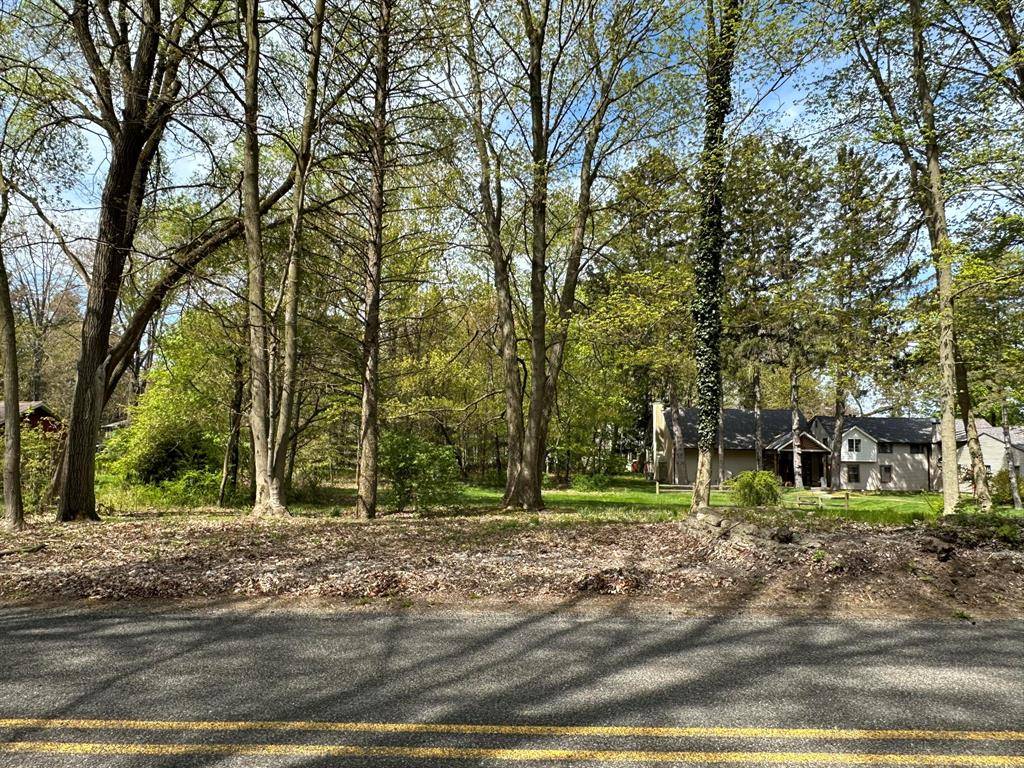 South Haven Twp, MI 49090,77th Street Lot 19