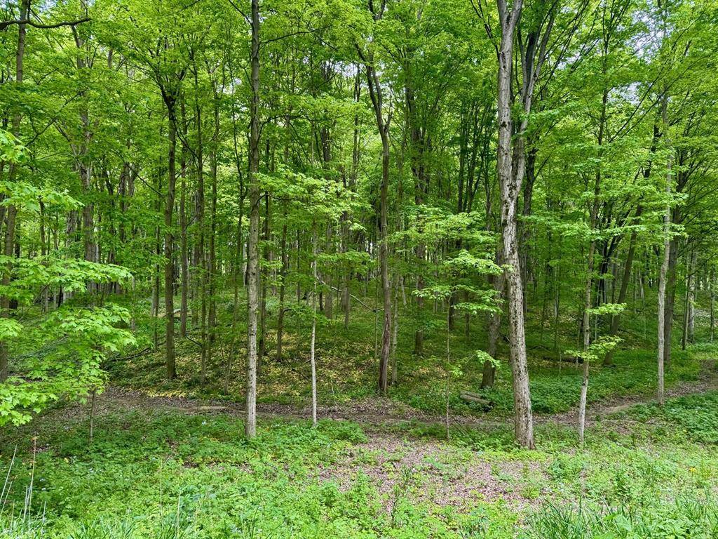 Weesaw Twp, MI 49113,V/L Gardner Road