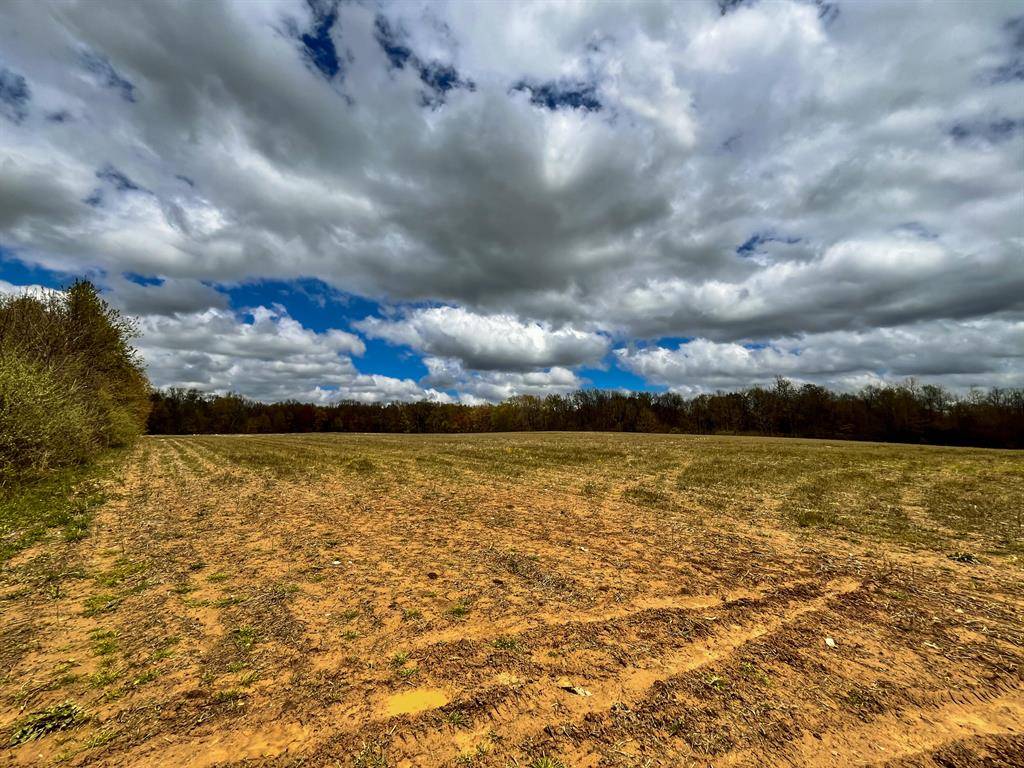 Lee Twp, MI 49056,5911 Baseline Road