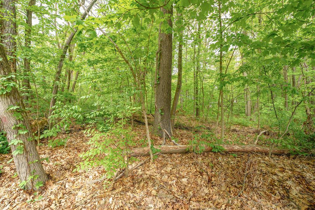Silver Creek Twp, MI 49047,VL A M-159
