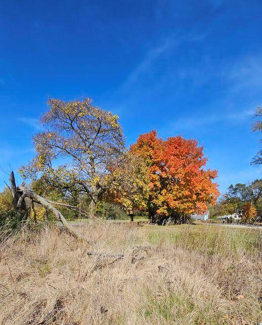 Benton Twp, MI 49022,952 Chicago Avenue