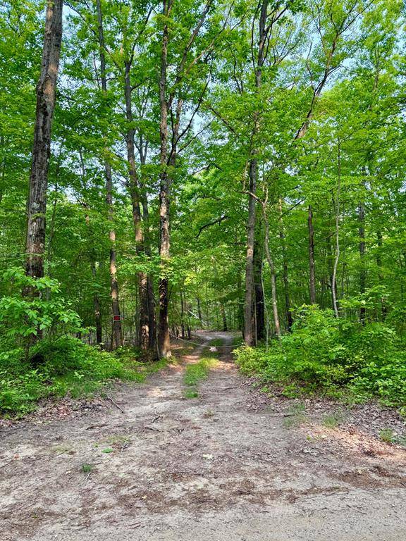 Columbia Twp, MI 49056,V/L 50th Street