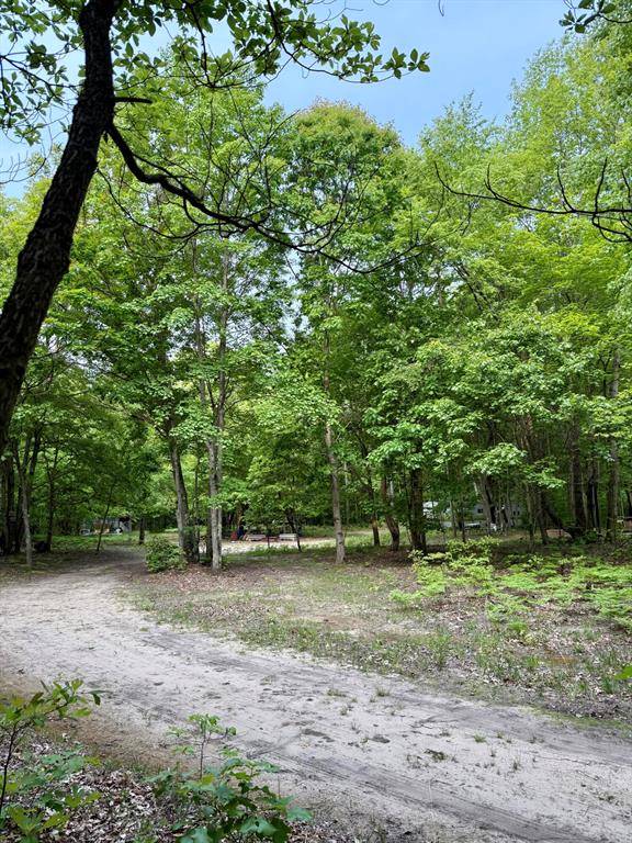 Columbia Twp, MI 49056,V/L 50th Street