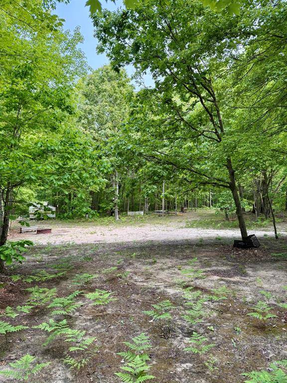 Columbia Twp, MI 49056,V/L 50th Street
